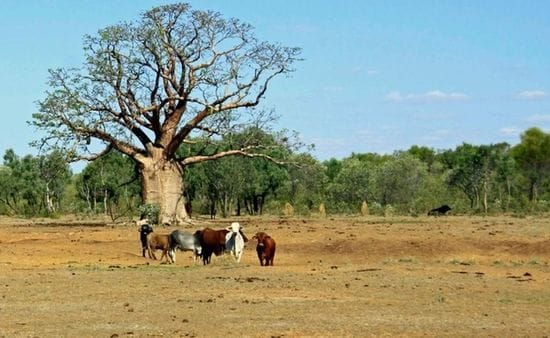 Pastoral shake-up wins key support